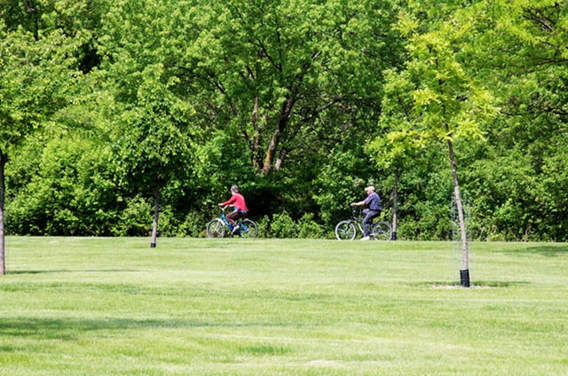 Pasley Park2