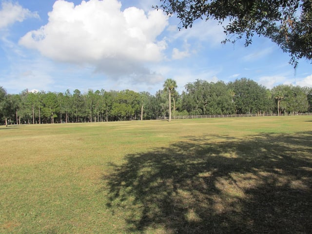 Gemini Springs Park4