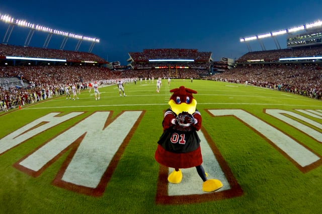 Williams-Brice Stadium - USC - Cocky copy 2