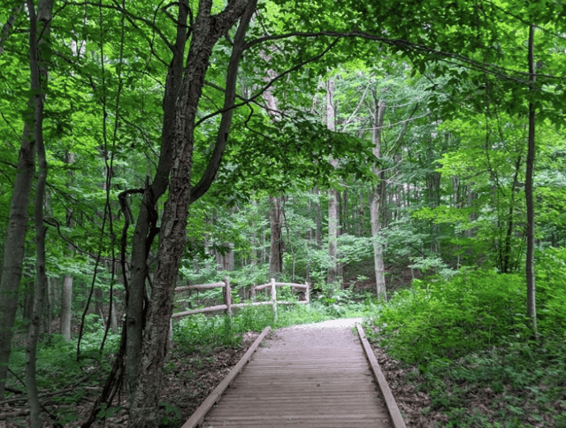 Arcadia Dunes 5