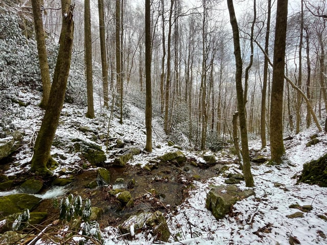 Petes Branch Falls7