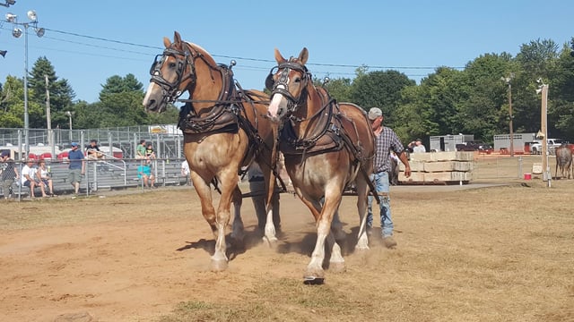 Spencer Fairgrounds 2