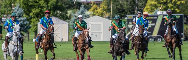 Polo 2
