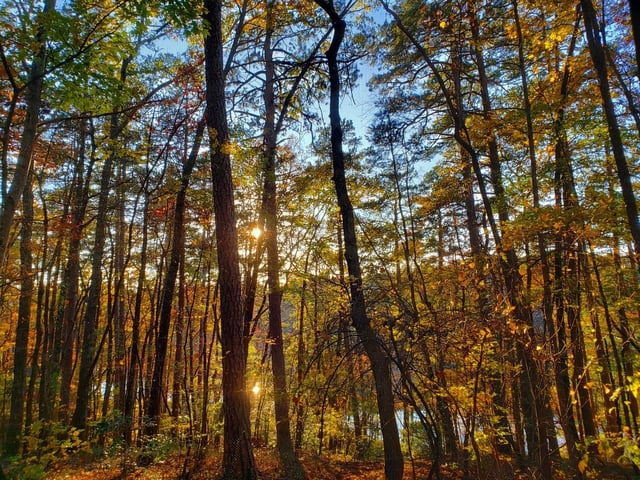 Oconee State Park8