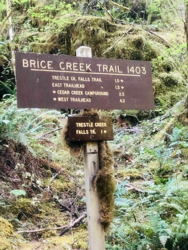 Umpqua National Forest4