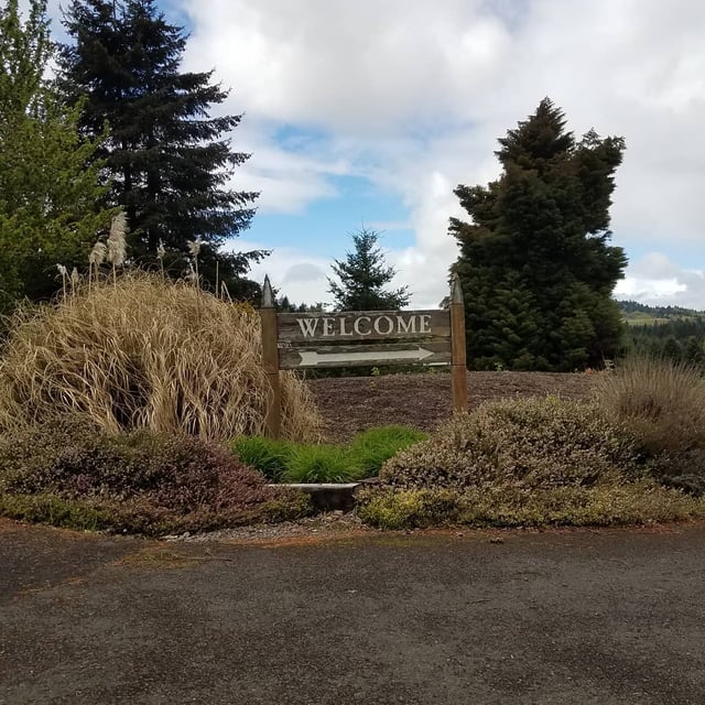 Diamond Woods Golf Course6