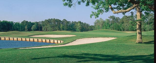 lions paw golf links 2