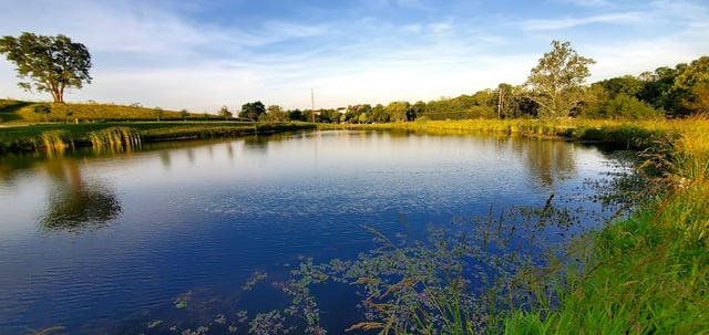 Chapel Lake Park5