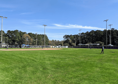 Screen Shot 2024-11-22 at 2.25.41 PM.png