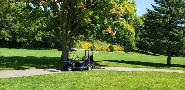 Brooktree Golf Course6