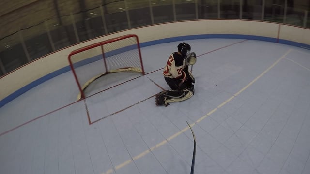 All Star Arena Three