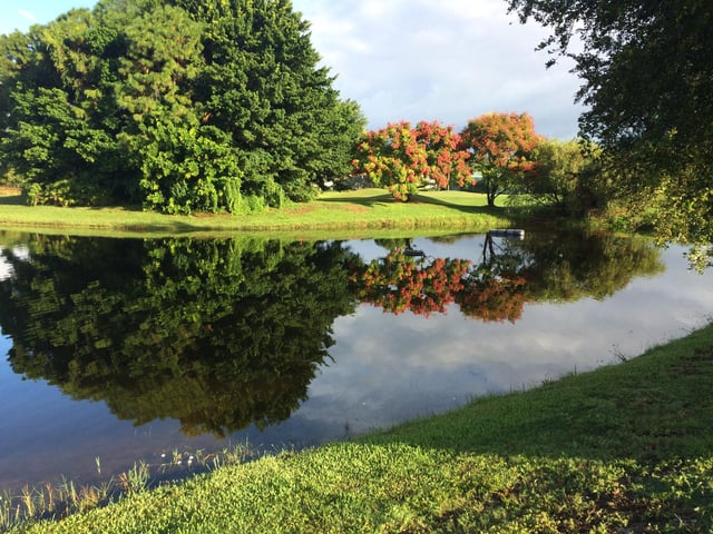 Calusa Lakes Golf Club 6