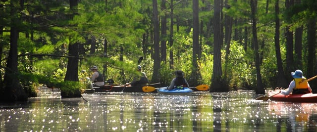 Kayak Adventure