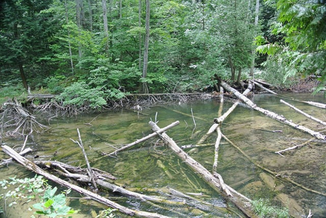 Lake Ann Pathway4