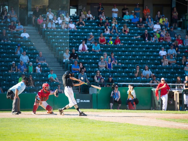 Shaw Park baseball.jpg