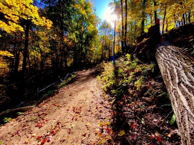 member_info_417-woodsong_county_park_pic_3_ks_2020_1602525650