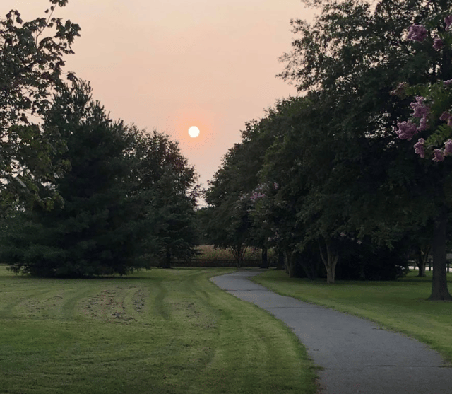 Church Hill Park 1