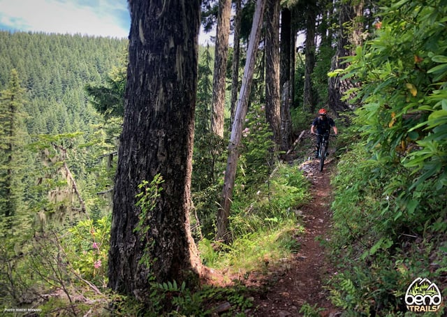 O'Leary Mountain Trail 3