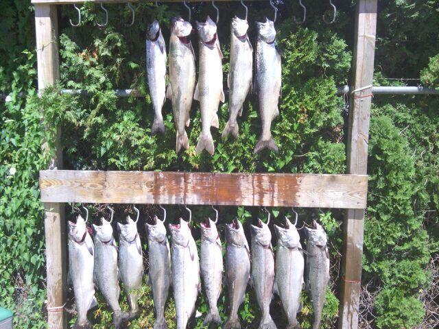 Bending Limits Sportfishing Charters3