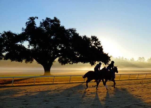 Aiken Training Track7