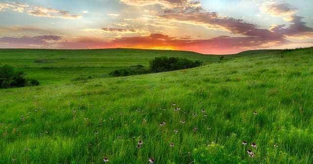 Konza Prairie Trails 5