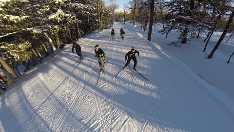 Michigan-Tech-xc-skiers.png