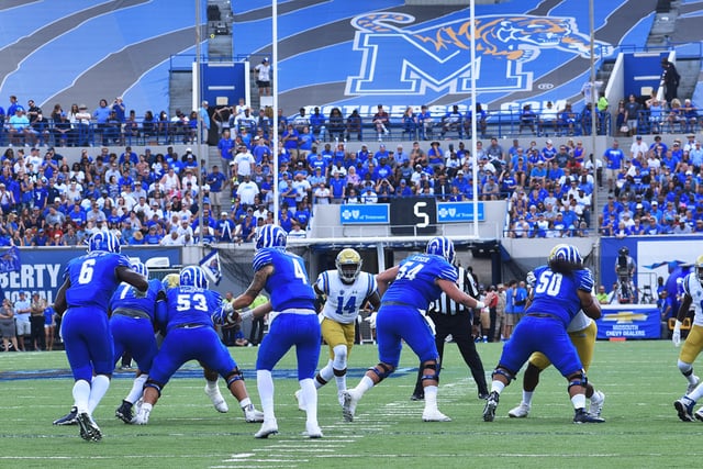 University of Memphis Tigers  Andrea Zucker.jpg