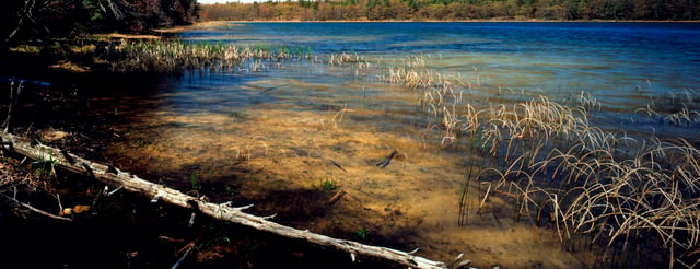 Kehl Lake Natural Area3