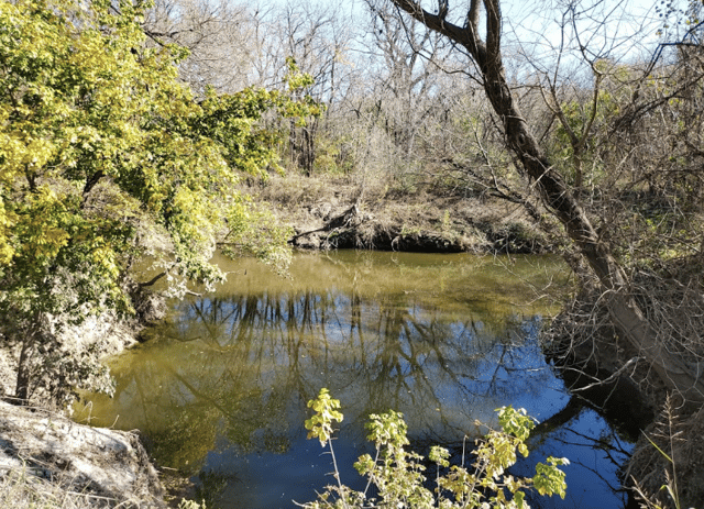 Rowlett Creek Preserve 6