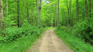 KJC ATV Rentals & Trails of South Haven 4