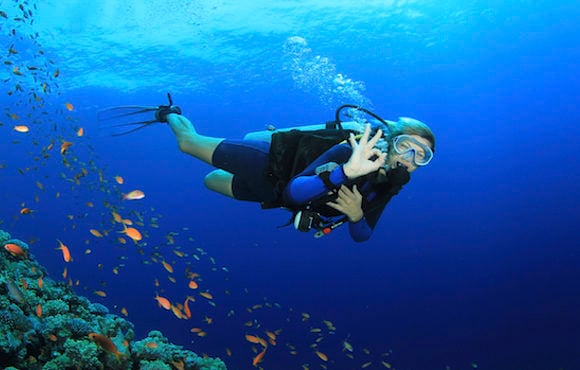 Bubbles or Not Diving 6