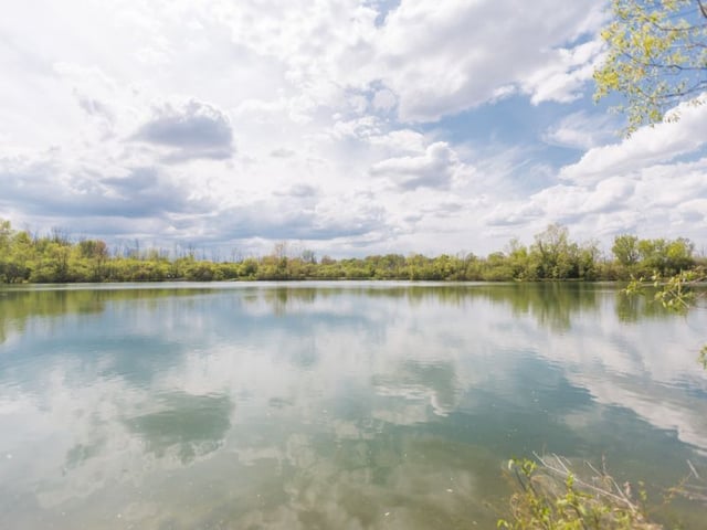 Hawthorn Pond Natural Area5