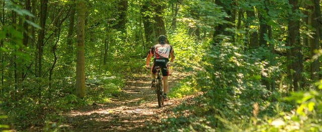 Devils Glen Park2