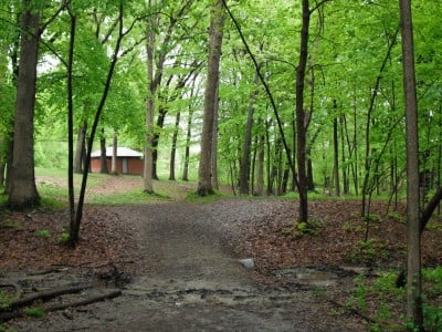 Shaver Park 6