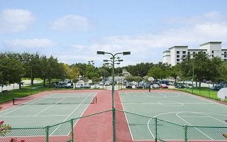 AnyConv.com__Lions 2