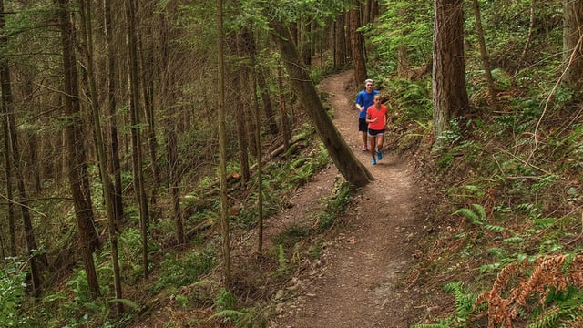trail-running-at-little-mountain.jpg