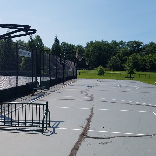 Shamrock Dog Park