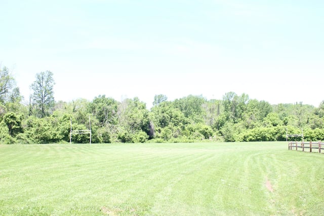 field