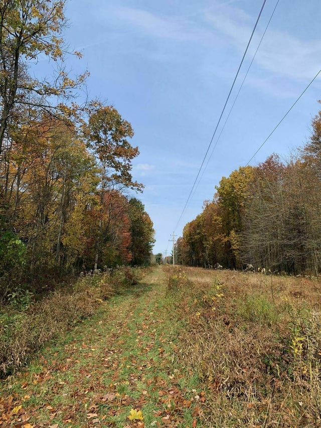 Fairview Nature Park5