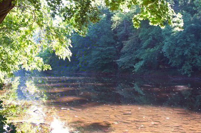 Evansburg State Park5