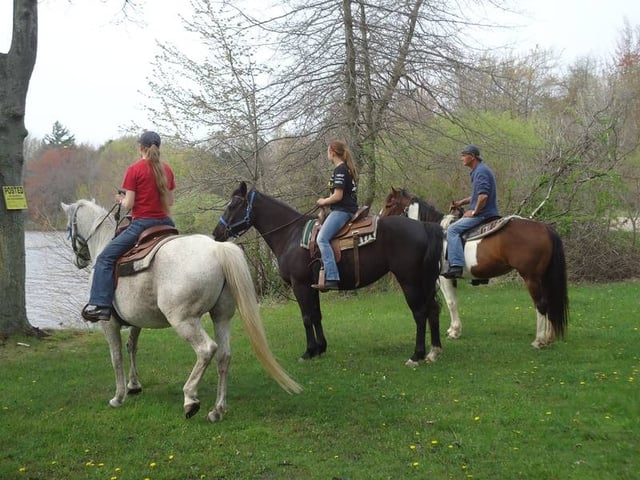 Simpsarosa Stables2