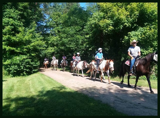 Simpsarosa Stables6