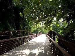 Lake Fayetteville Park 3
