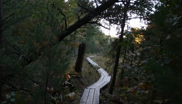 Reffitt Nature Preserve 1