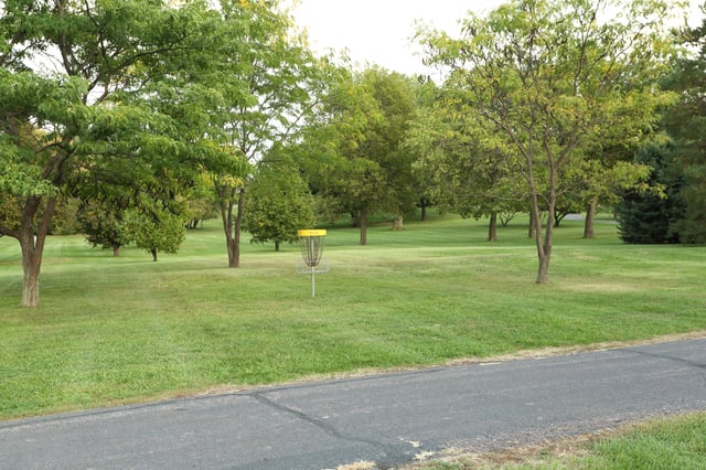 Dry Run Creek Disc(3).jpg