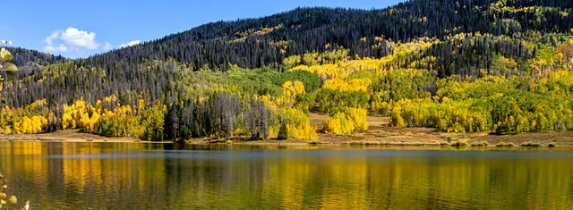 Pearl Lake Natural Area 5