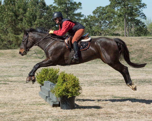Whiskey Road Foxhounds 4
