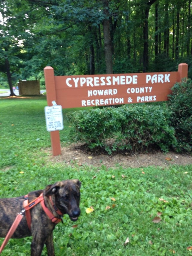 cypressmede park 3