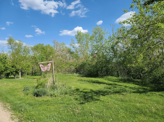 morgan creek park 2