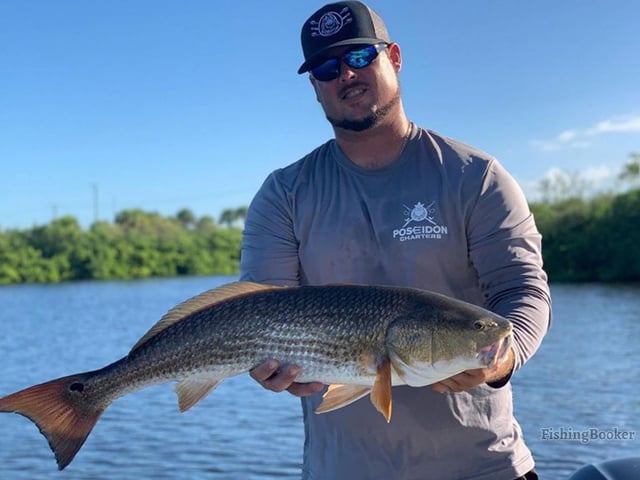 snook stamp charters